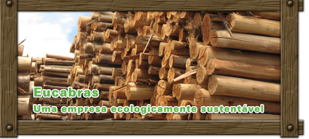 Sexo HD top com peituda sexy que chupou e foi chupada - images/stories/banner/banner_02.png