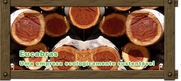 Sexo HD top com peituda sexy que chupou e foi chupada - images/stories/banner/banner_03.png